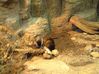 wg2003_088.jpg