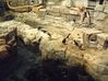 wg2003_090.jpg
