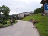 wg2004_150.jpg